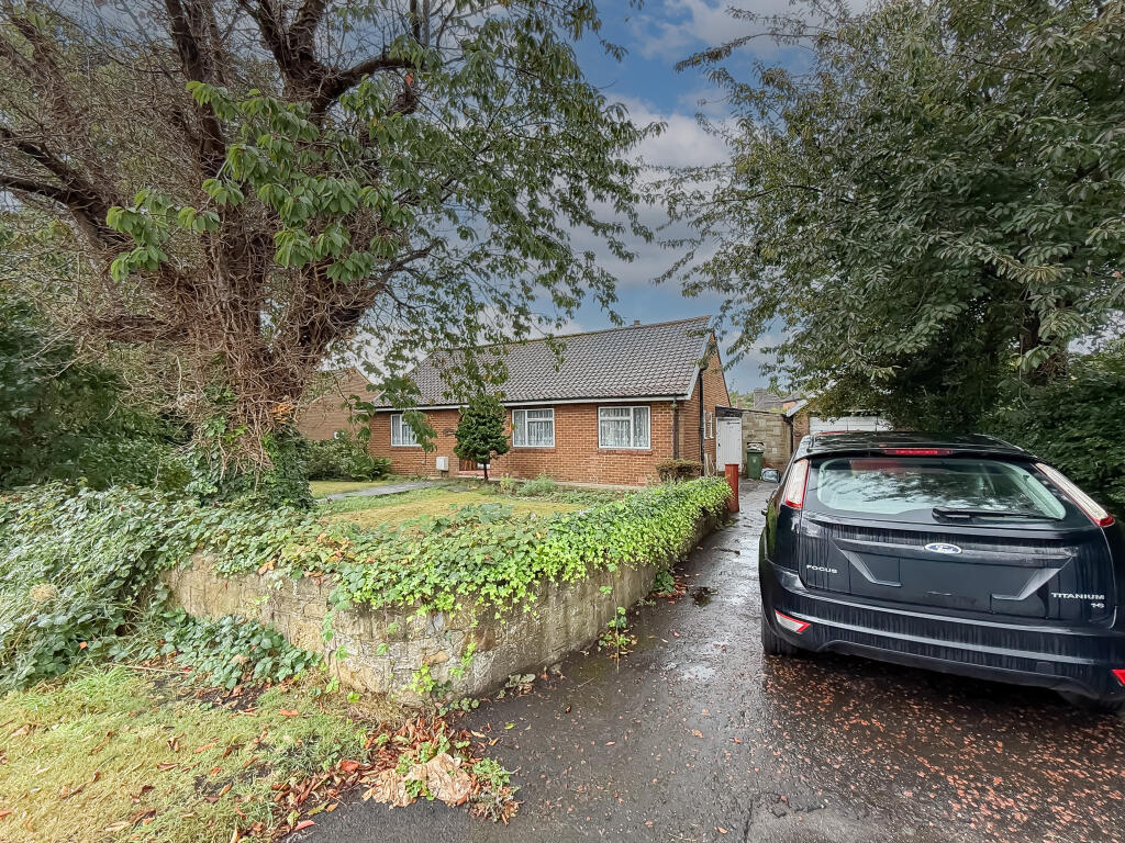 IMG 4168 T202509171429.jpg