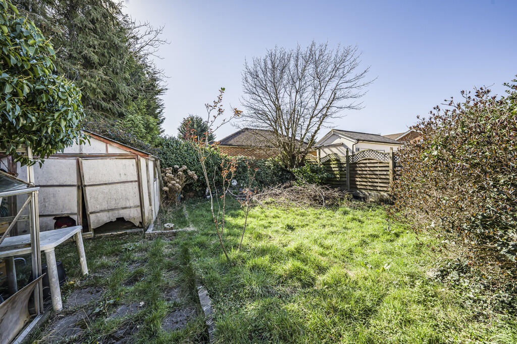 Photo Mar 18 2025...