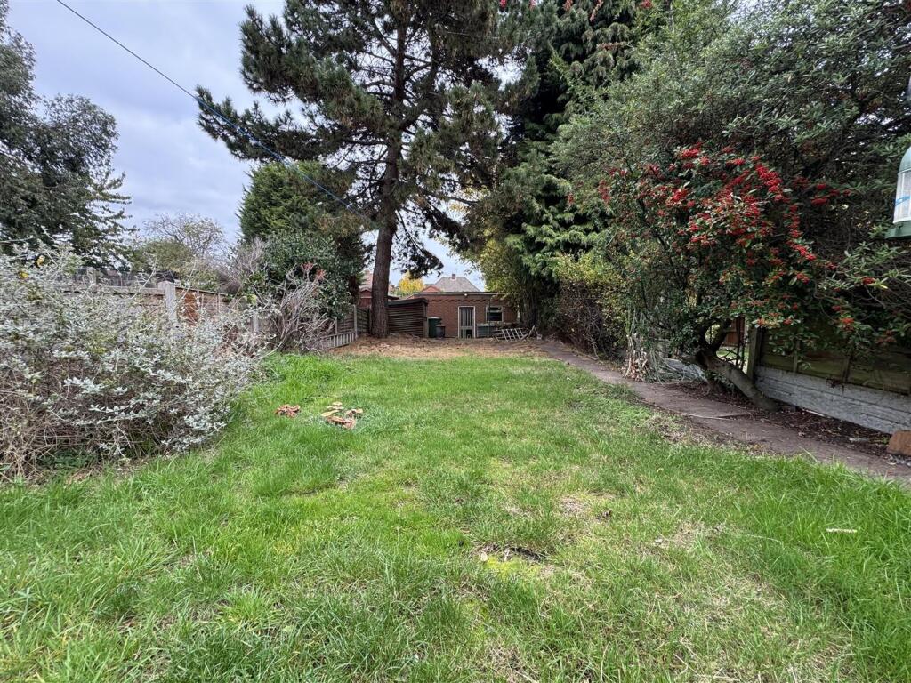 IMG_3581 (Large).JPG