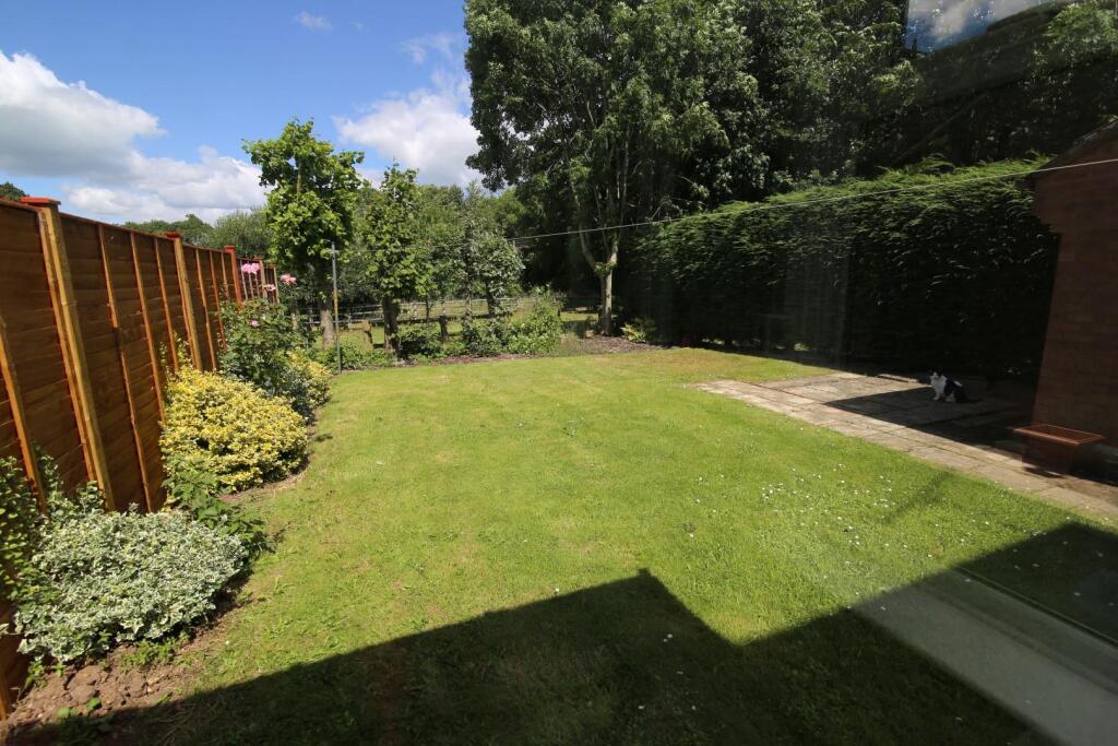 IMG_7338 (Large).JPG