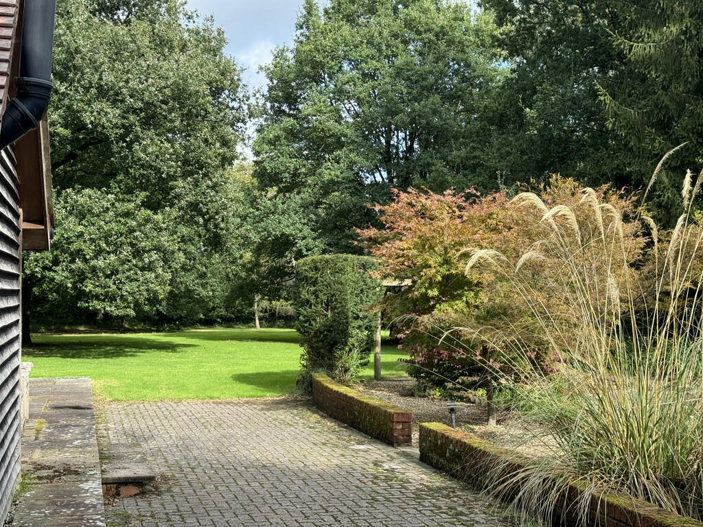 garden view
