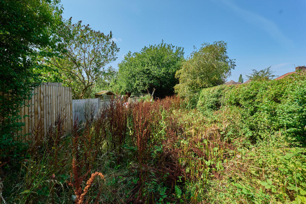 P1518309 T202508062017.jpg