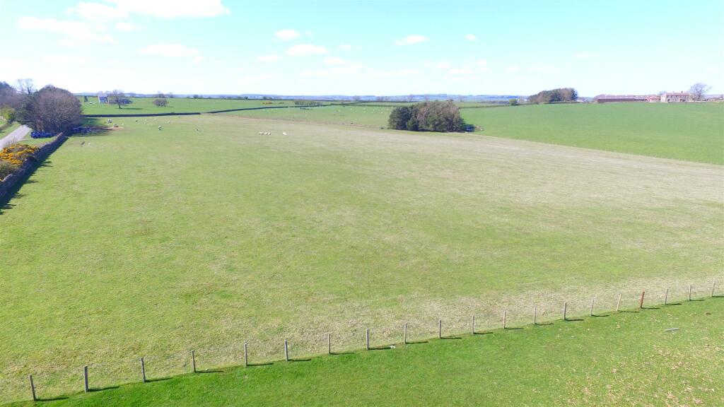 DJI_0506.JPG