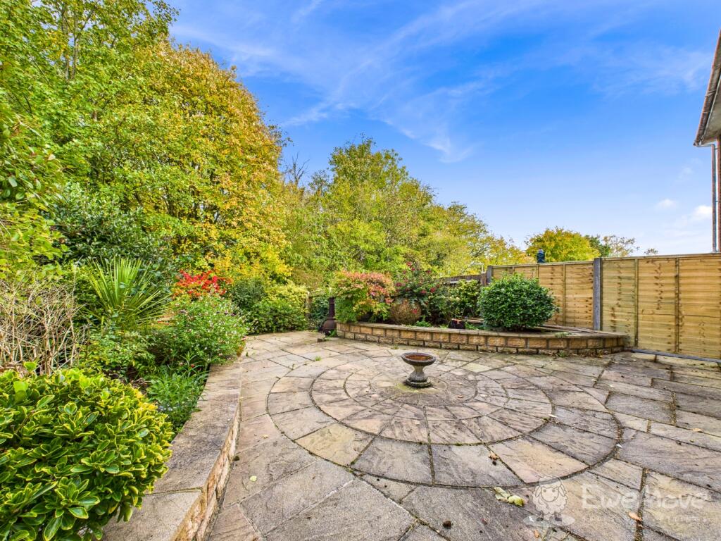 Back Garden