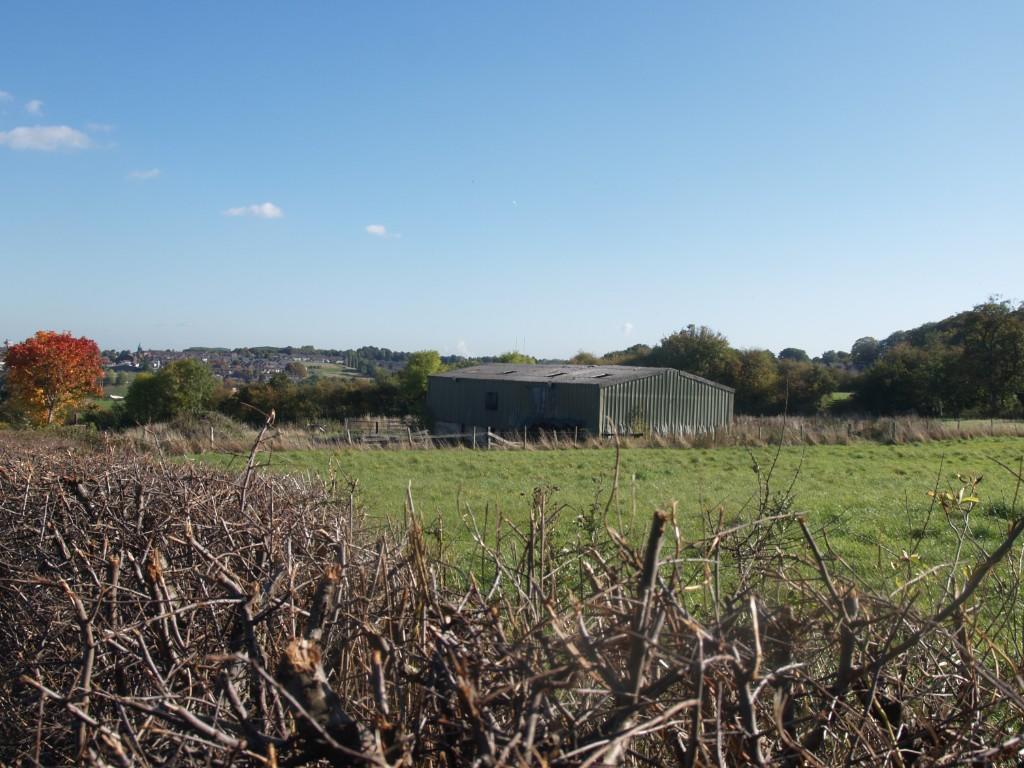Roadside Aspect