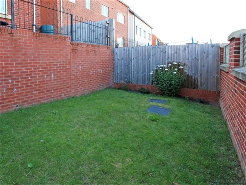 Picture 8