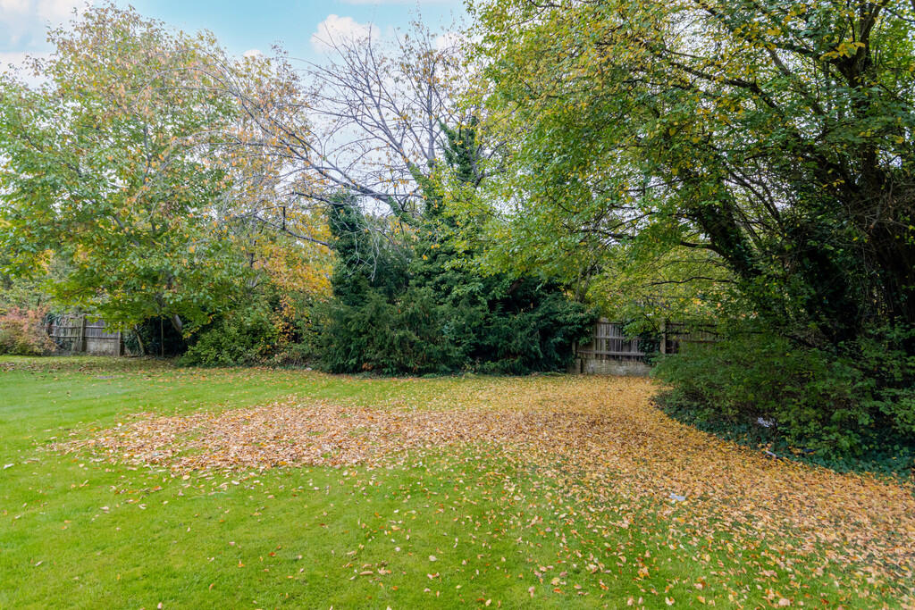 Communal Garden 2