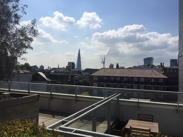 View from roof top garden