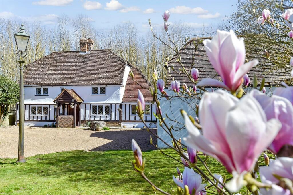 External Lifestyle Photograph