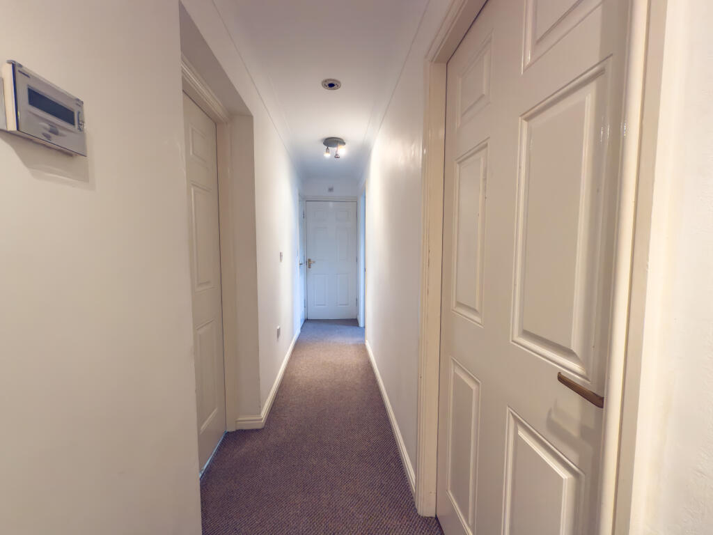 IMG 1534 T202507201658.jpg