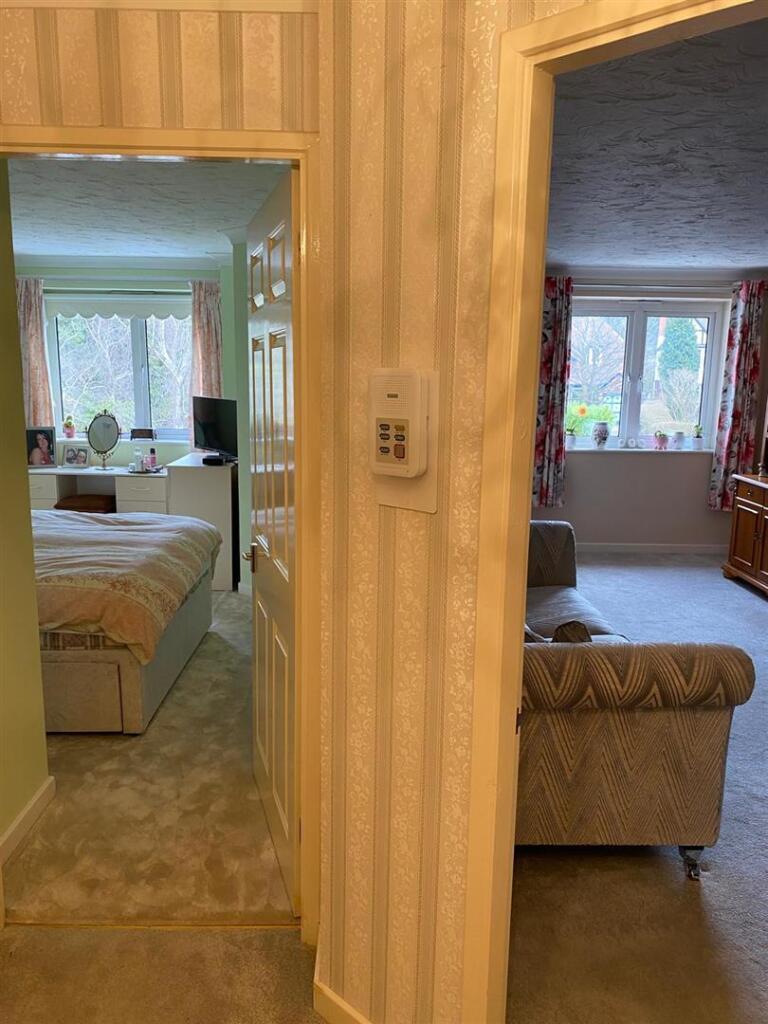 IMG-20250214-WA0021 (Large).jpg