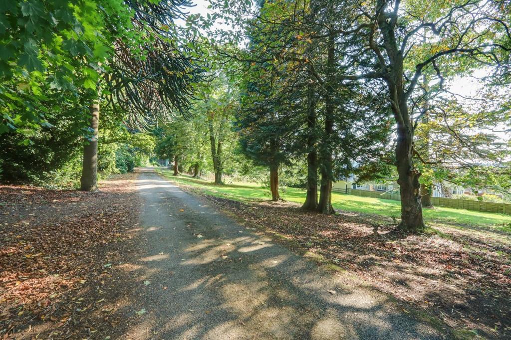 Driveway