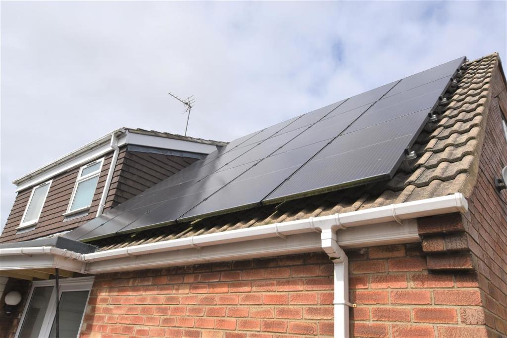 Solar Panels.jpg