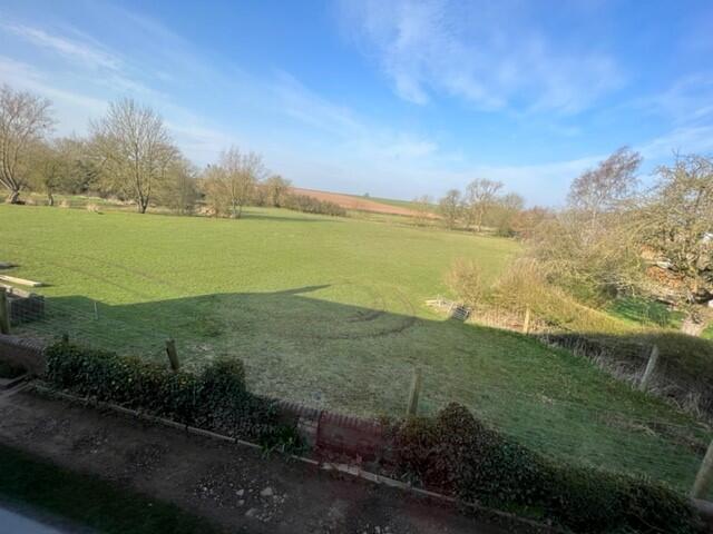 fronmt views