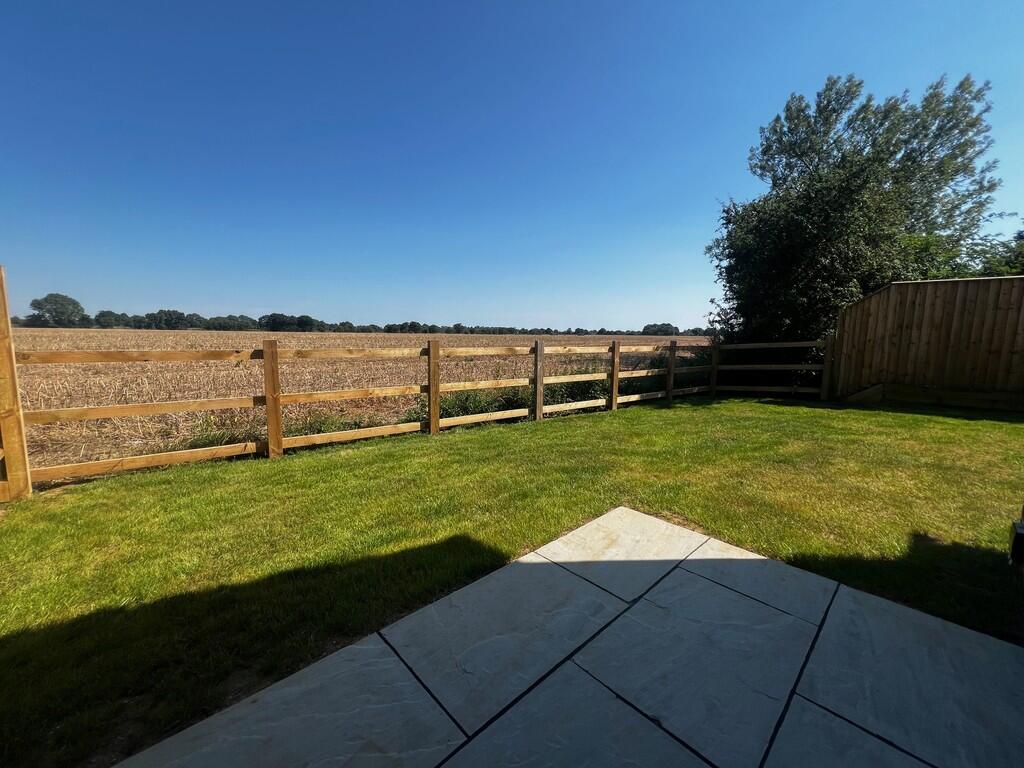 IMG_7288
