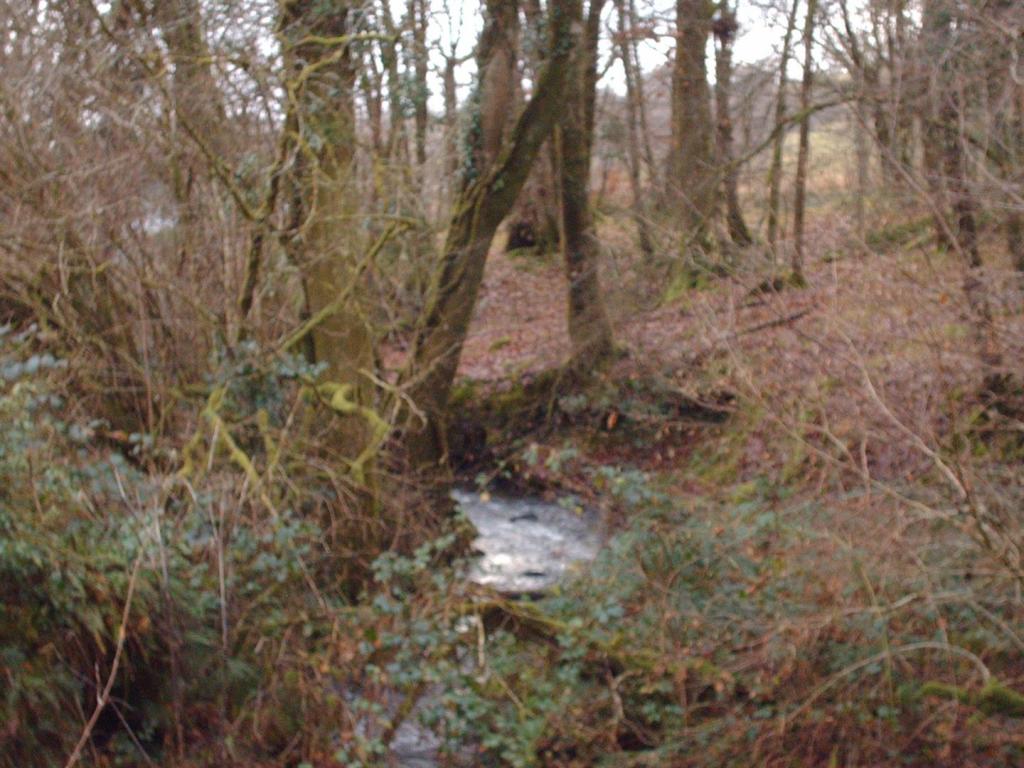 STREAM
