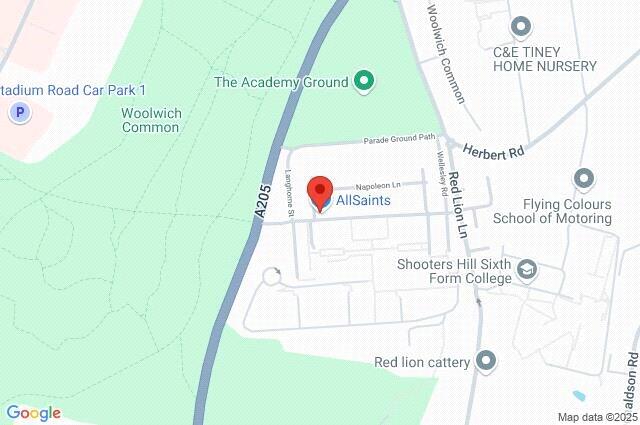 Google Maps Image