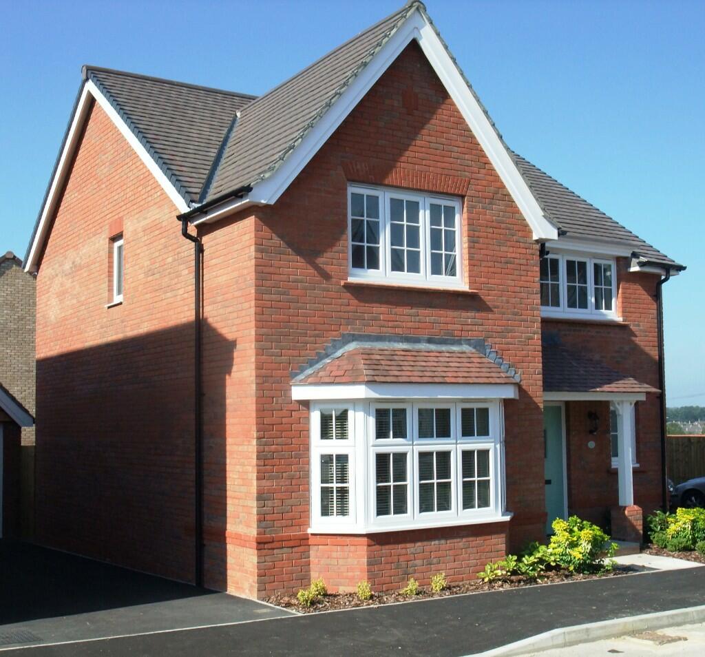 front aspect