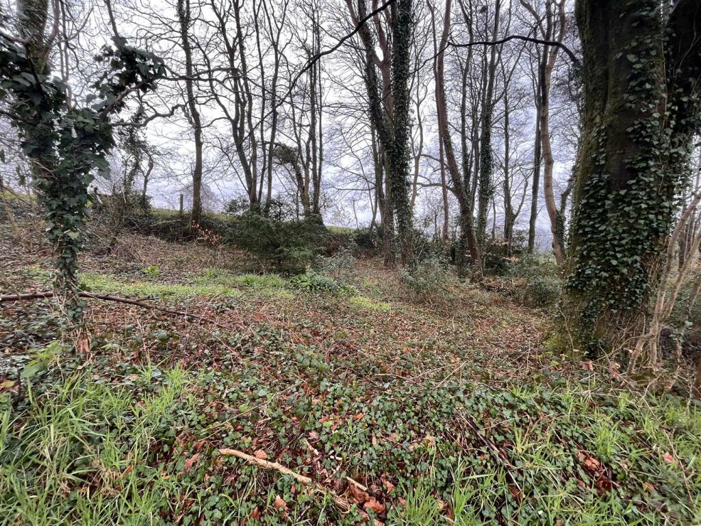 Woodland