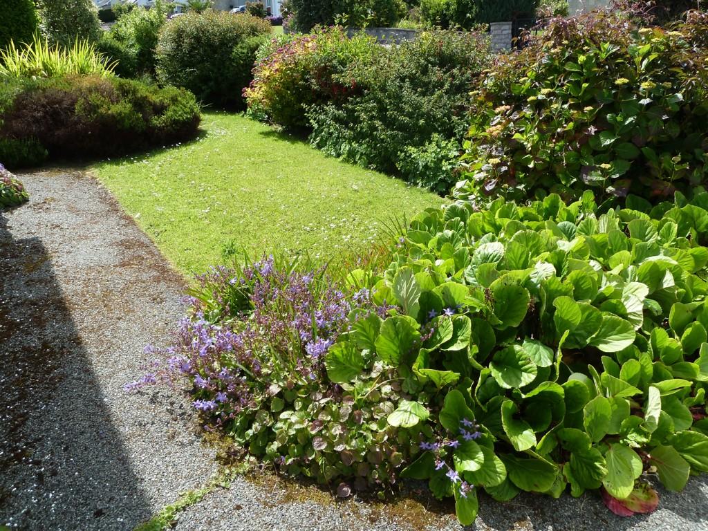 Front garden