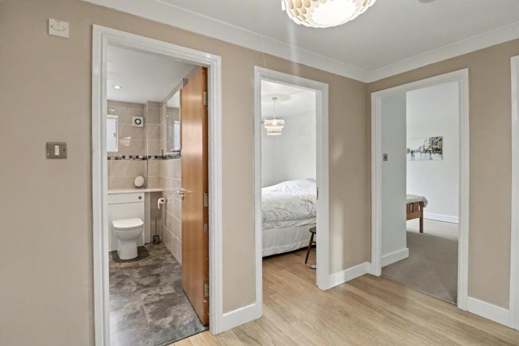 IMG_4781