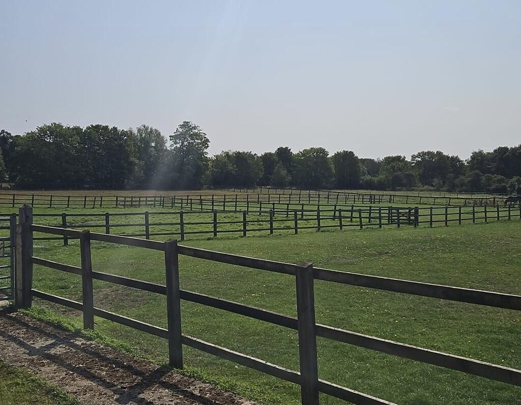 914ded7f-1369-43b...