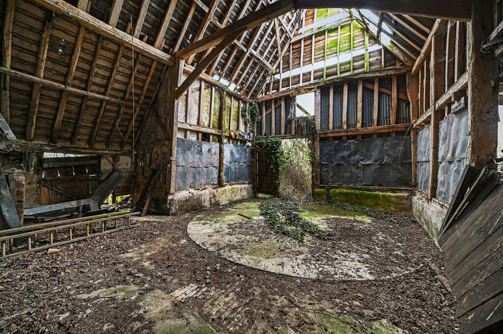 PT-DB(WP)-OakTree...