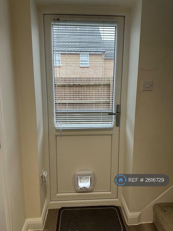 Back Door