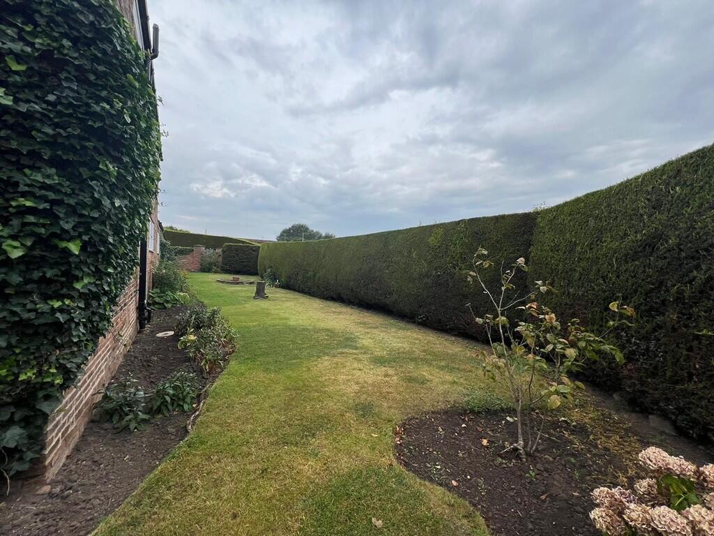 IMG-20240828-WA00...