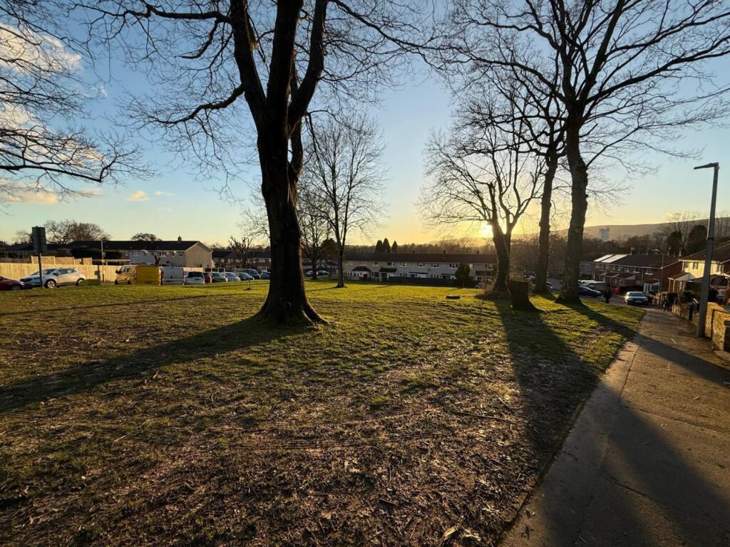 PHOTO-2025-03-01-10-45-24 4