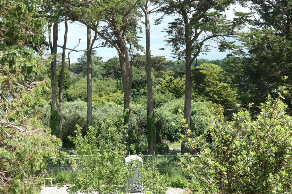 62e92d2650868_View Shot P1014271 resized