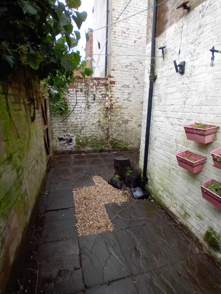 Rear Yard
