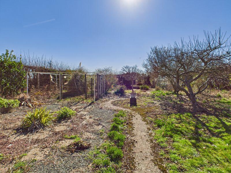 Rear gardens