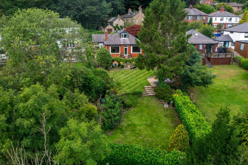 Aerial View of the Garden