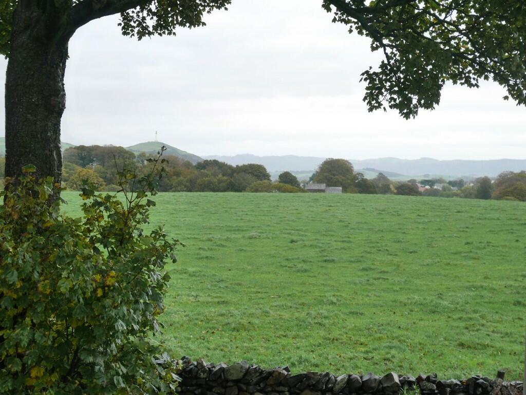 Outlook