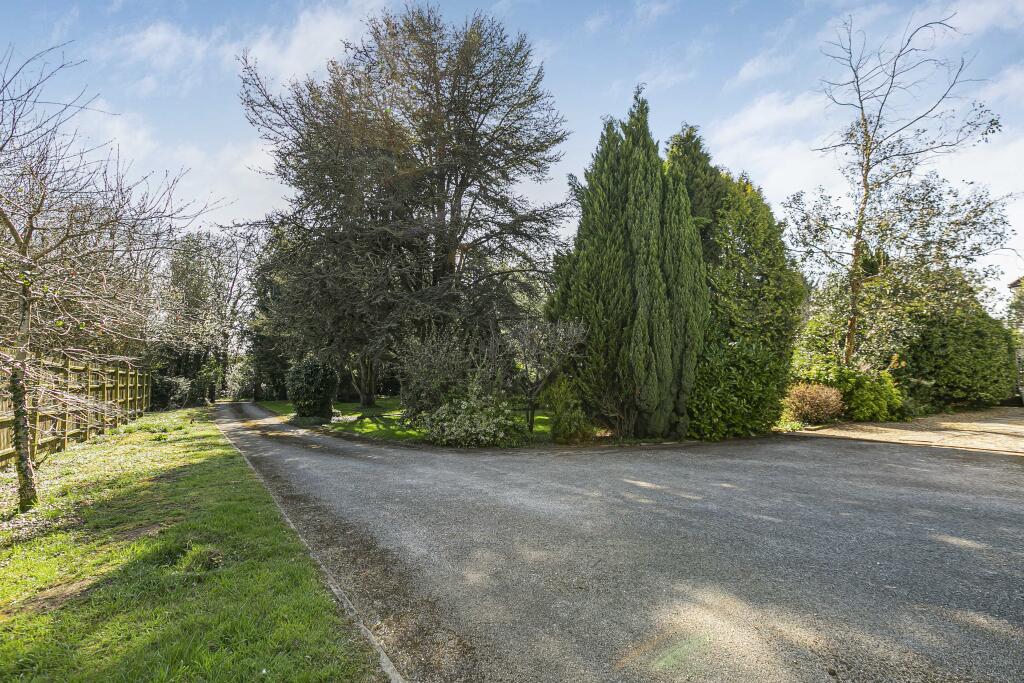 Driveway
