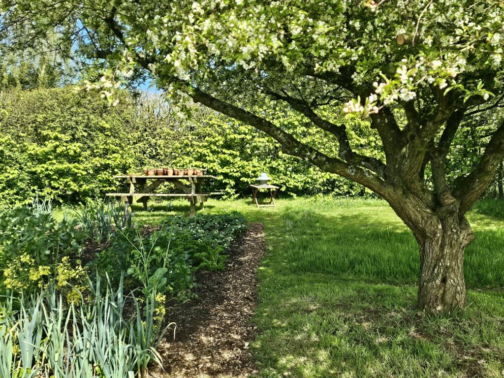 The Cider Press