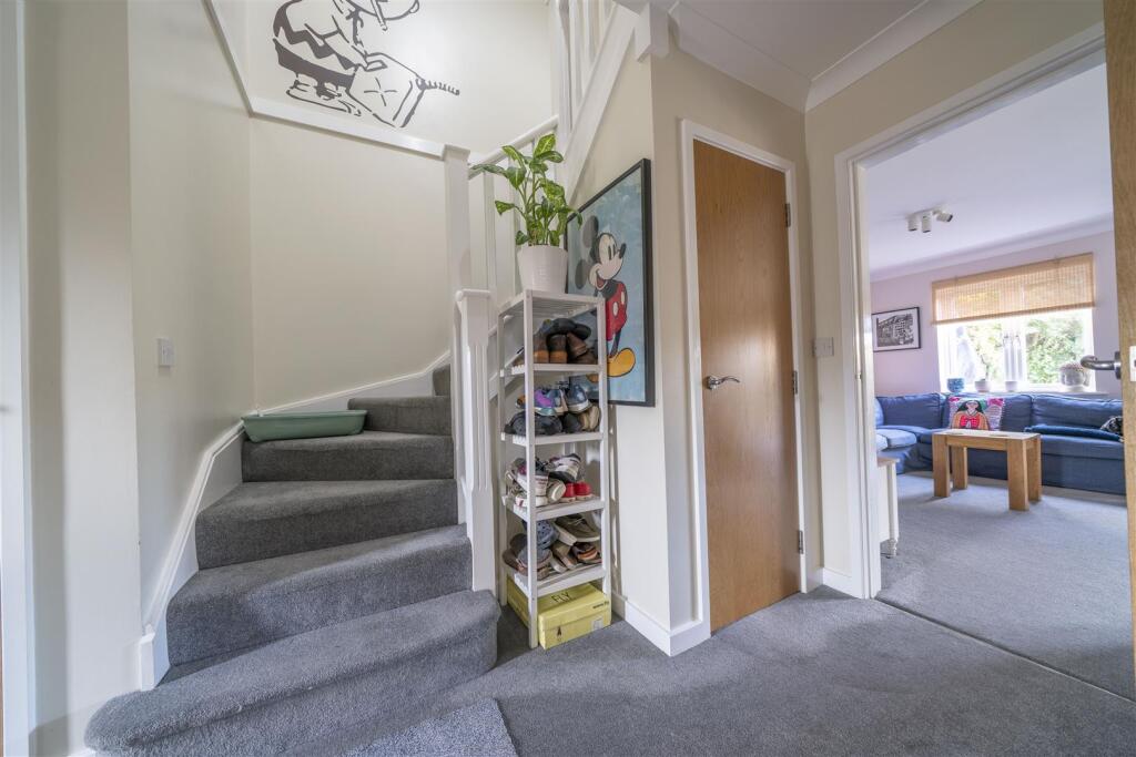 DSC08478.jpg