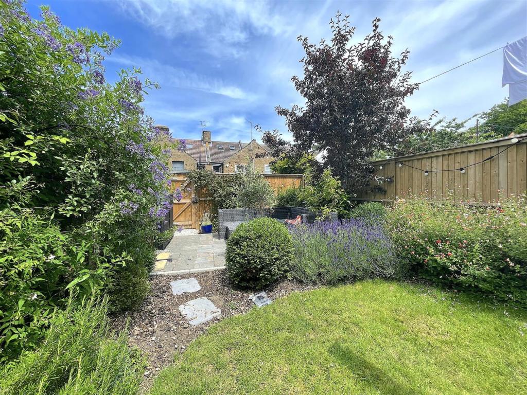 Garden (4).jpeg