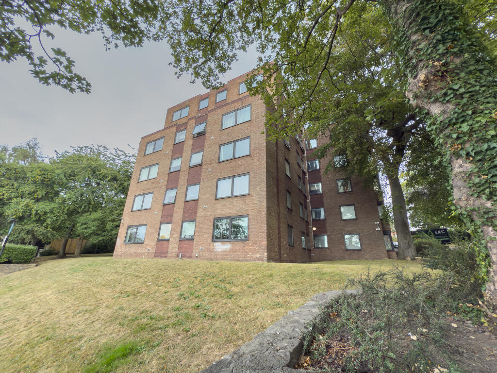 IMG 3419 T202508290744.jpg