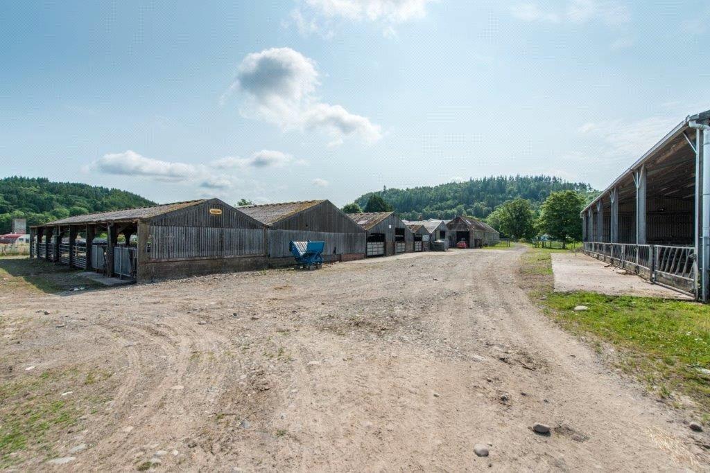 Yard Area