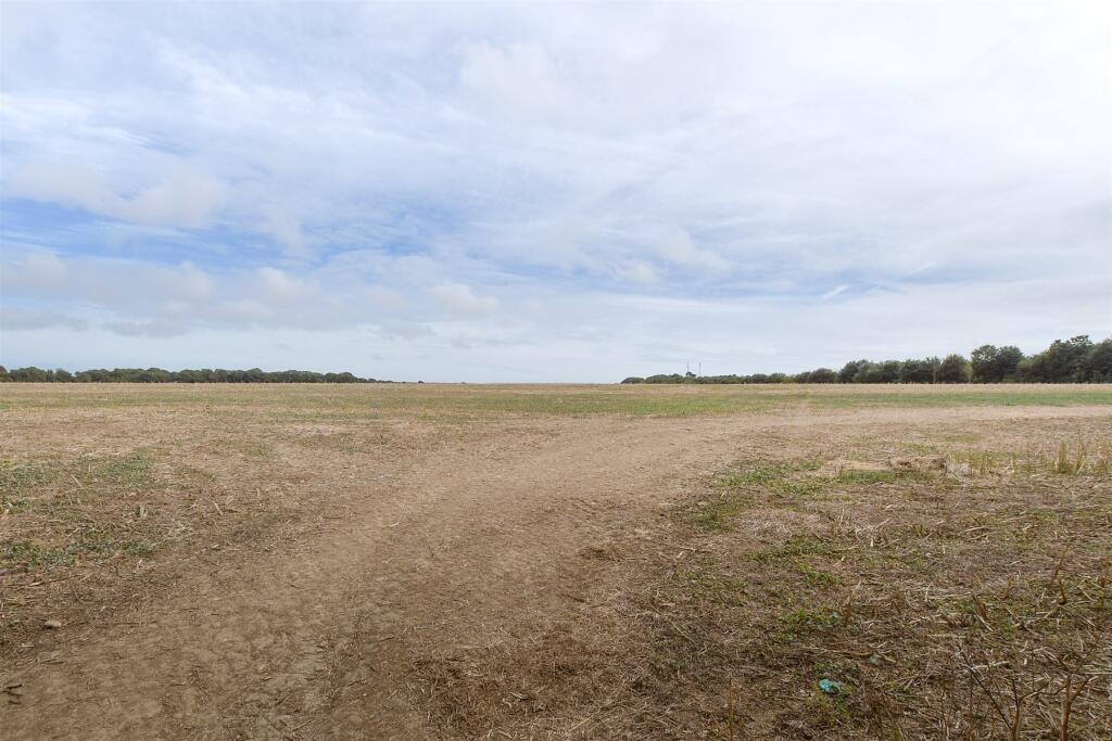 Surrounding Area