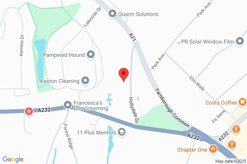 Google Maps Image