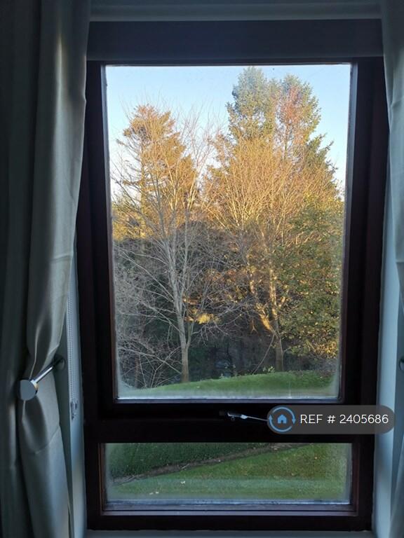 View From Living Room 2