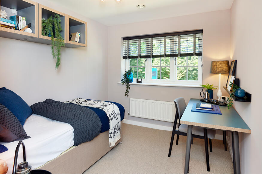 Typical Show Home