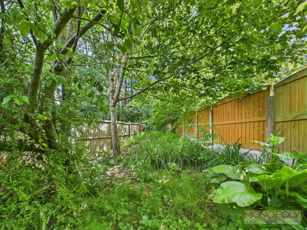 Rear Boundary/Orchard.jpg