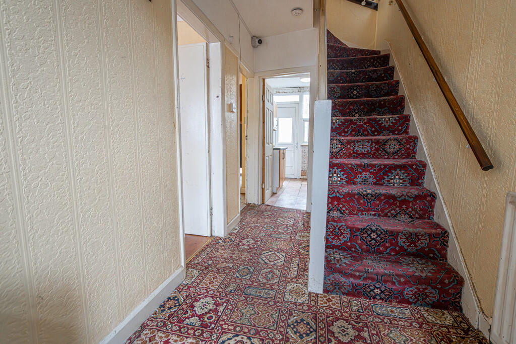 20250317-DSC03391...