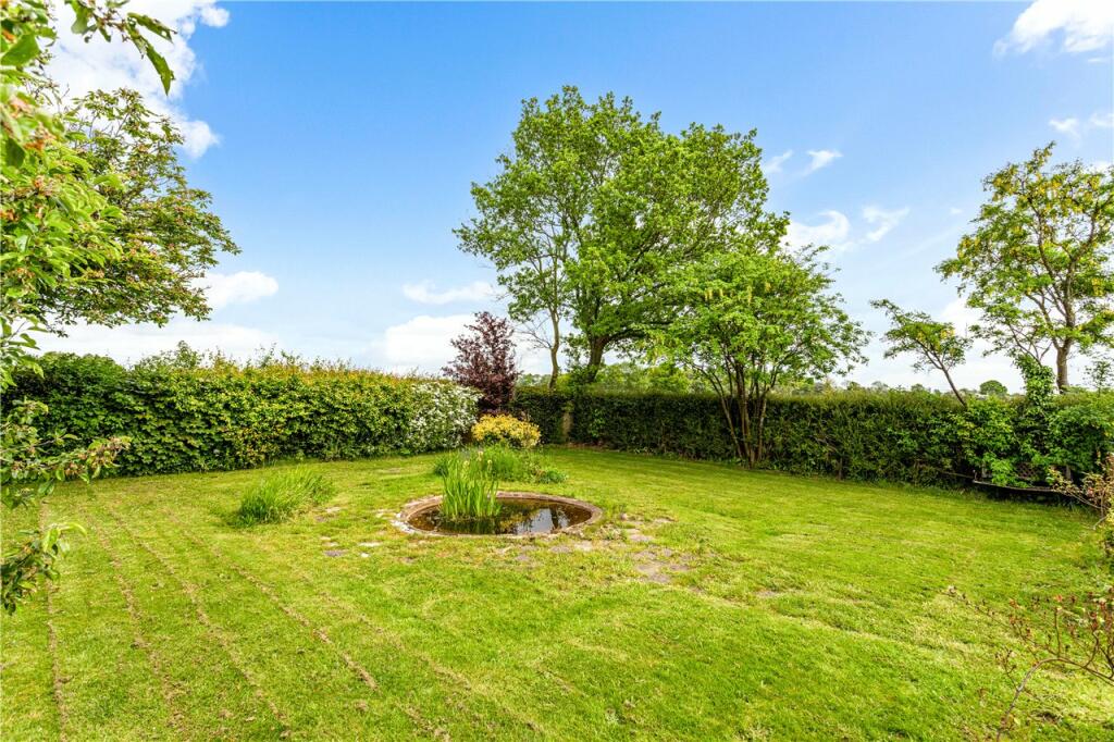 Pond/Garden