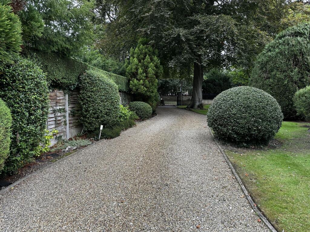 Driveway