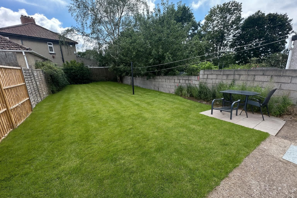 ChatGPT Image Jul 22, 2025, 04_45_53 PM.png